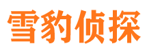 武威市私家侦探